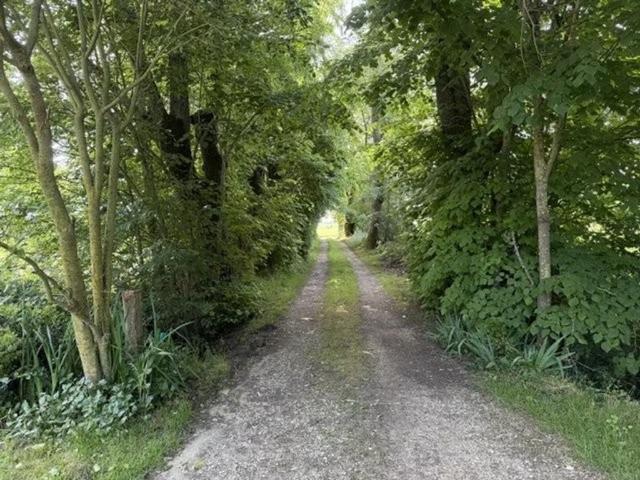 Maison de 8 pièces de luxe en vente à Fourquevaux, France