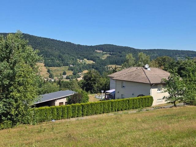 Maison de 8 pièces de luxe en vente à Le Syndicat, Grand Est