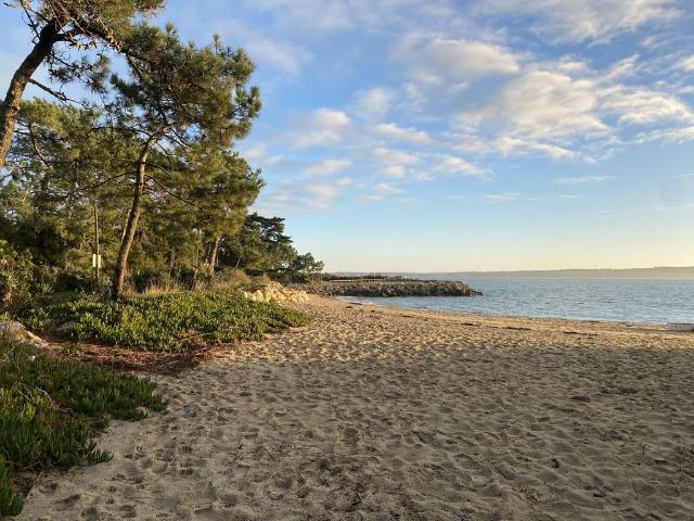 Maison de 8 pièces de luxe en vente à Lège Cap Ferret, France