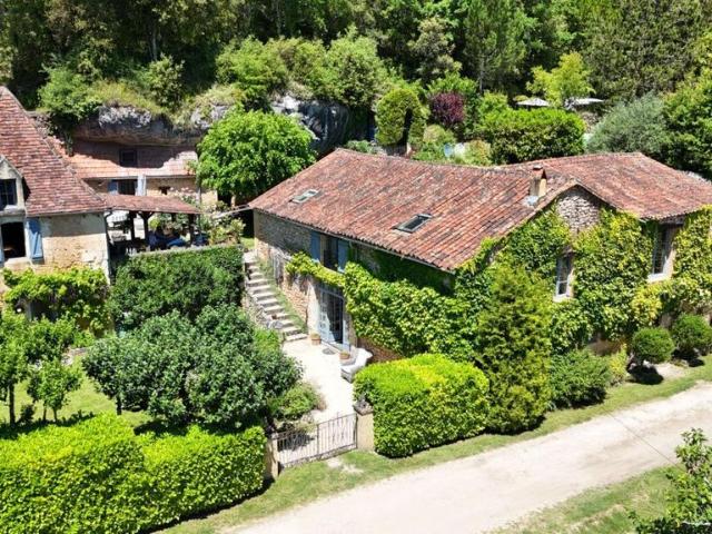 Maison de 8 pièces de luxe en vente à Les Eyzies de Tayac Sireuil, Nouvelle Aquitaine