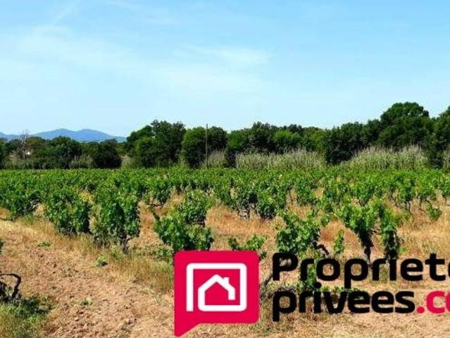 Maison de 8 pièces de luxe en vente à Vidauban, Provence Alpes Côte d'Azur