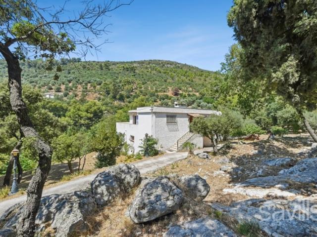 Maison de campagne avec belles opportunités