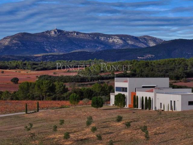 Maison de campagne de luxe de 6 pièces en vente Montpeyroux, France