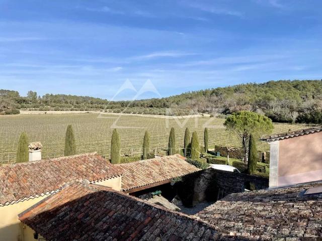 Maison de campagne de luxe de 1200 m2 en vente Puget Ville, France