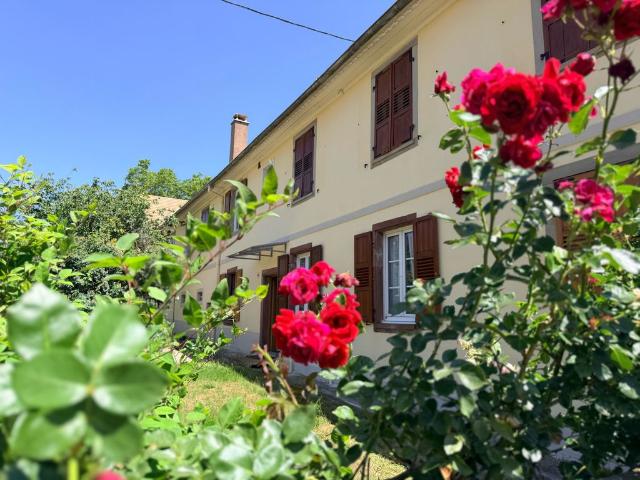 Maison de campagne de luxe de 12 pièces en vente Berstett, France