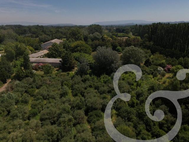 Maison de campagne de luxe de 15 pièces en vente Mollégès, France