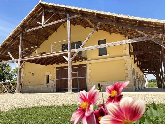 Maison de campagne exclusive de 1019 m2 en vente Montpon Ménestérol, France