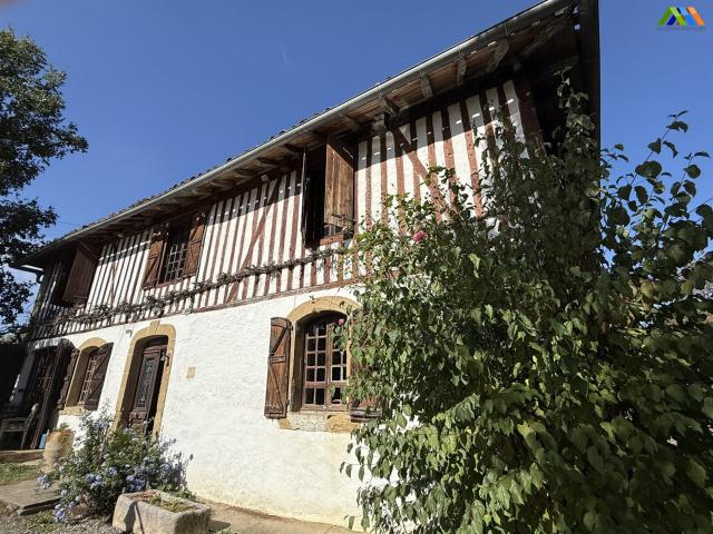 Maison de caractère avec piscine, grange et jardin au coeur. 125m² Castelnau Magnoac