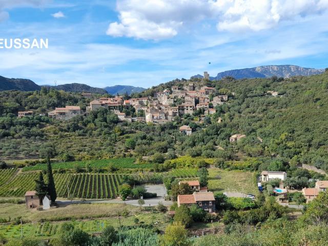 Maison De Caractere avec terrasses 250m² Vieussan