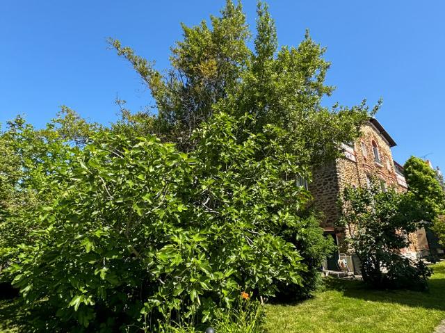 Maison de Caractère 163m2 Mairie de Rosny + dépendance 90m2