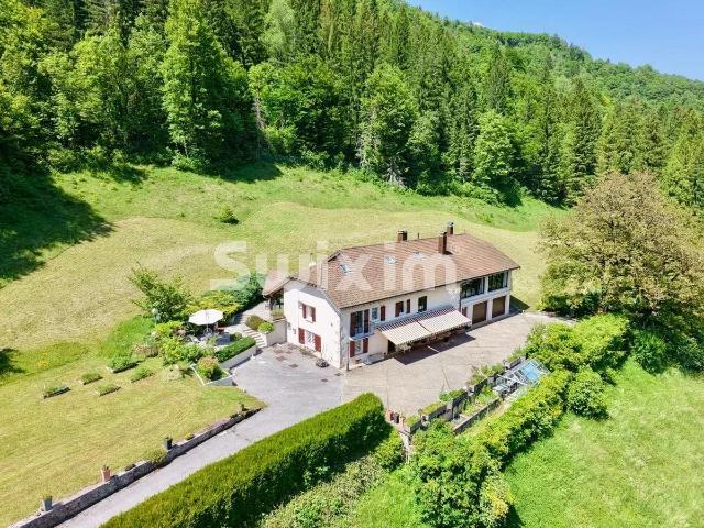 Maison de Charme avec Sauna et Spa dans un écrin de verdure 330m² Saint Claude