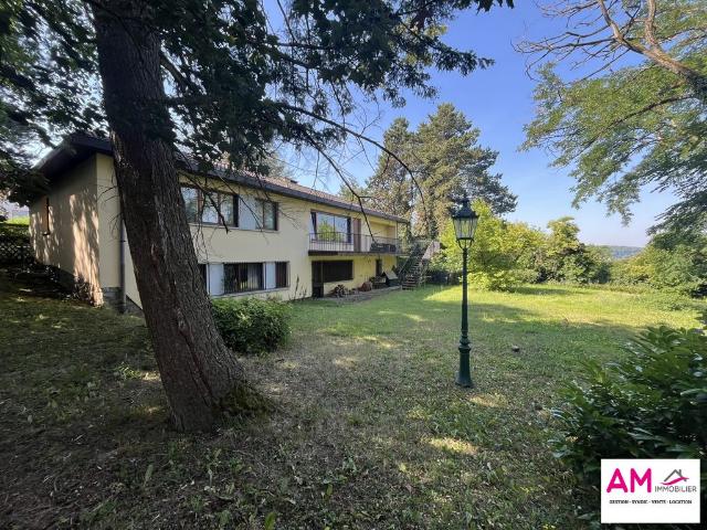 Maison de luxe 5 chambres en vente à Brunstatt, France