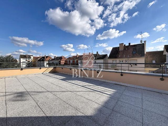 Maison de luxe 6 chambres en vente à Strasbourg, France