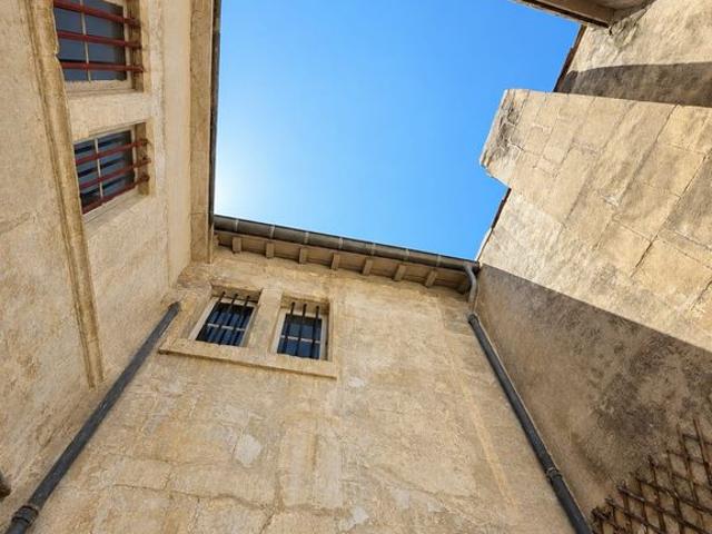 Maison de luxe 8 chambres en vente à Arles, France
