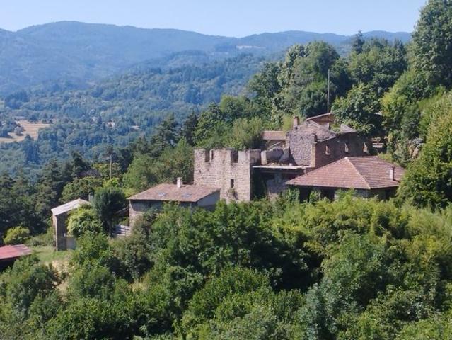 Maison de luxe 8 chambres en vente à Nonières, Auvergne Rhône Alpes