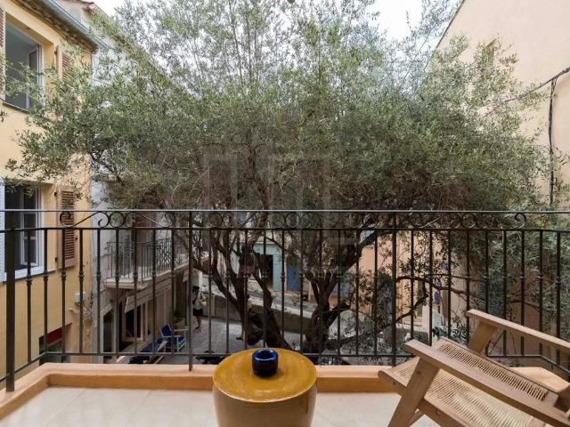 Maison de luxe 2 chambres en vente à Saint Tropez, Provence Alpes Côte d'Azur