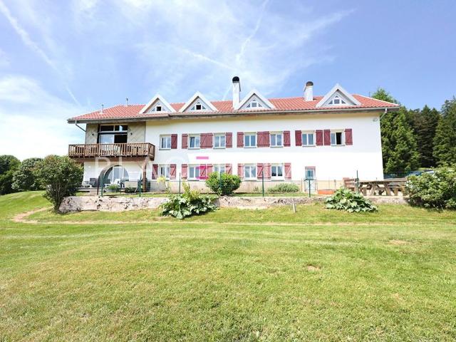 Maison de luxe de 450 m2 en vente Gérardmer, France