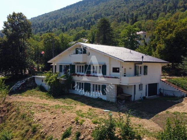 Maison de luxe de 4 chambres en vente à Gex, Auvergne Rhône Alpes