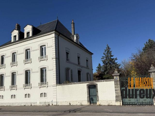 Maison de luxe de 5 chambres en vente à Gray, France
