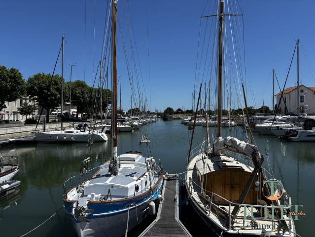 Maison de luxe de 5 chambres en vente à La Tremblade, Nouvelle Aquitaine