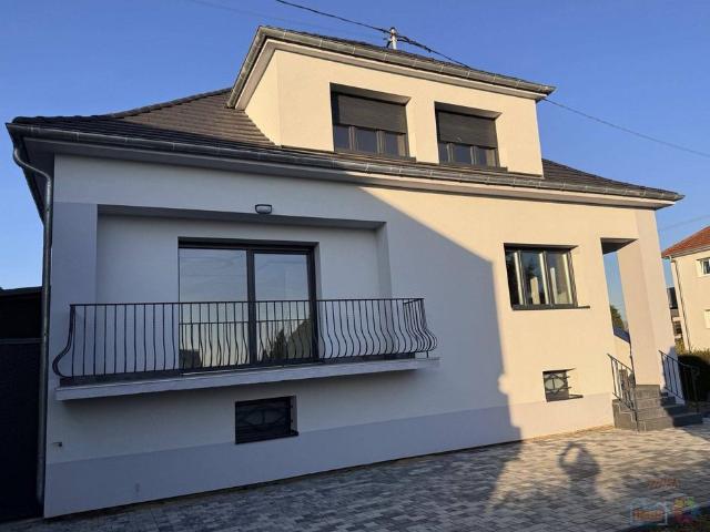 Maison de luxe de 5 chambres en vente à Mommenheim, France