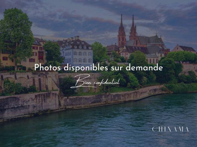 Maison de luxe de 5 pièces en vente à Buschwiller, Grand Est