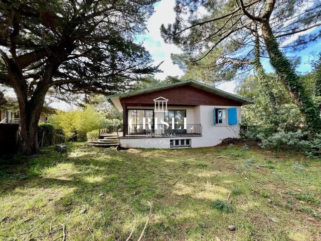 Maison de prestige en vente Lège Cap Ferret, France
