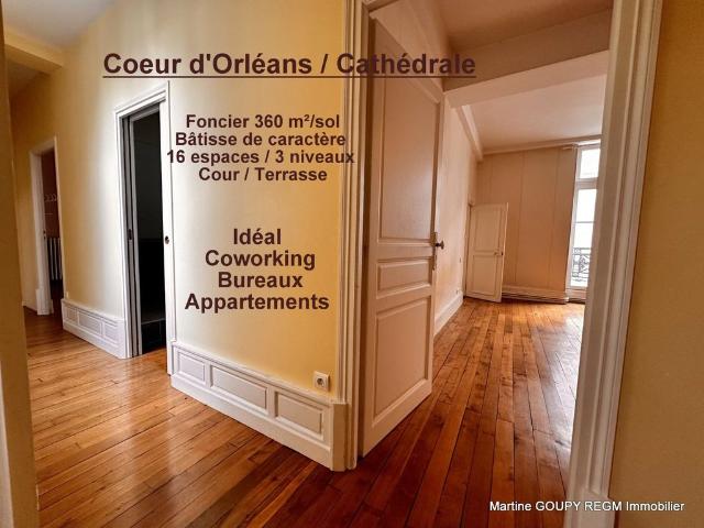 Maison de luxe de 7 chambres en vente à Orléans, France