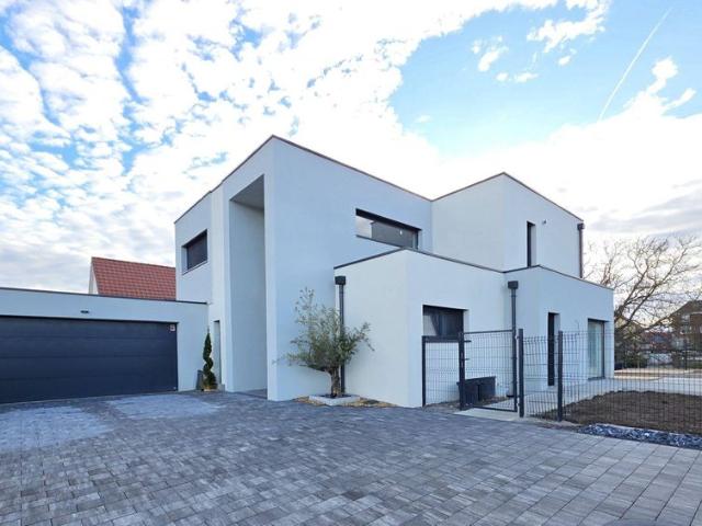 Maison de luxe de 7 pièces en vente à Ensisheim, Grand Est