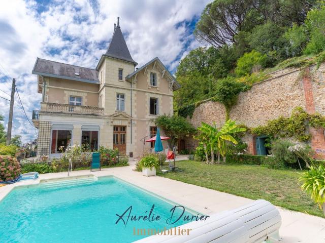 Maison de luxe de 8 pièces en vente à Saint Étienne de Chigny, France