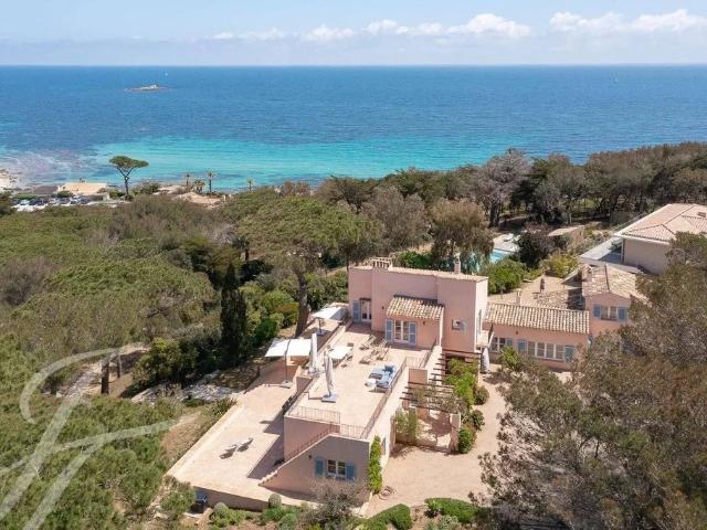 Maison de luxe de 9 chambres en location à Saint Tropez, France