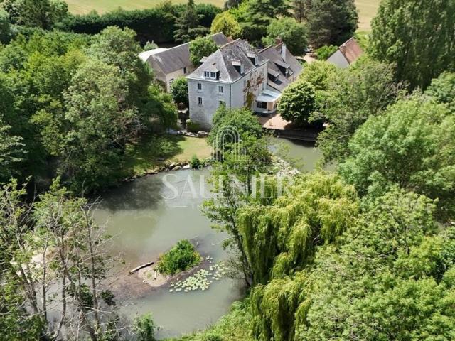 Maison de luxe de 10 chambres en vente à Chançay, France