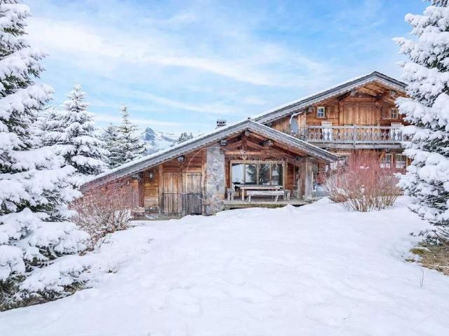Maison de luxe de 10 pièces en vente à Demi Quartier, France