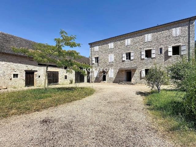 Maison de luxe de 15 pièces en vente à Tournus, Bourgogne Franche Comté