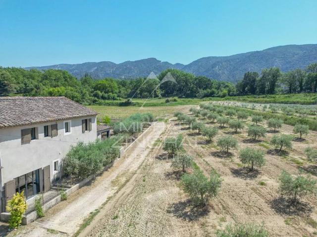 Maison de luxe de 190 m2 en vente Oppède le Vieux, Provence Alpes Côte d'Azur