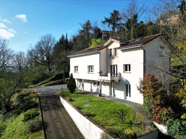 Maison de 8 pièces de luxe en vente à Vienne, France
