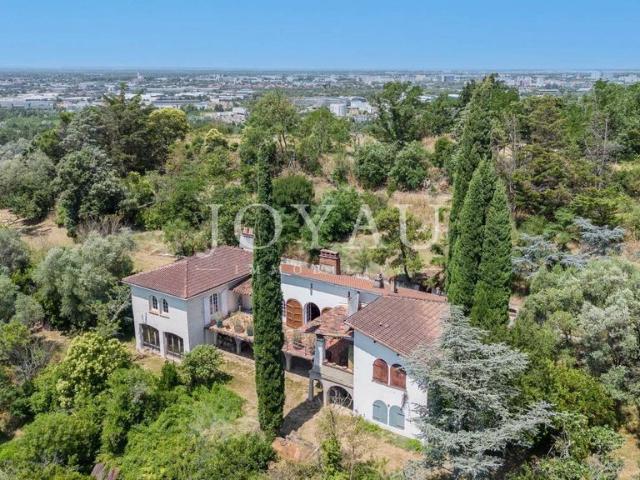Maison de luxe de 283 m2 en vente Toulouse, Occitanie
