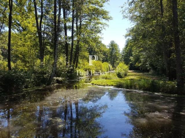 Maison de luxe de 30 pièces en vente à Argent sur Sauldre, France