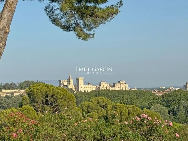 Maison de luxe de 313 m2 en vente Villeneuve lès Avignon, France