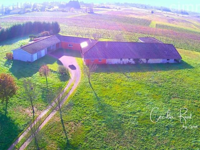Maison de luxe de 370 m2 en vente Saint Christoly de Blaye, France