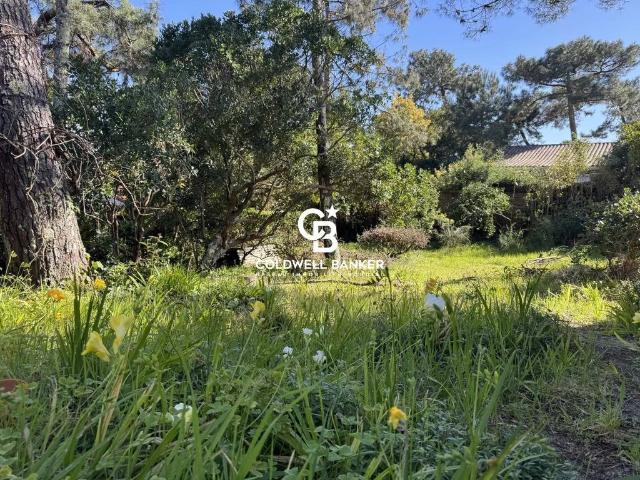 Maison de luxe en vente à Cap Ferret, France