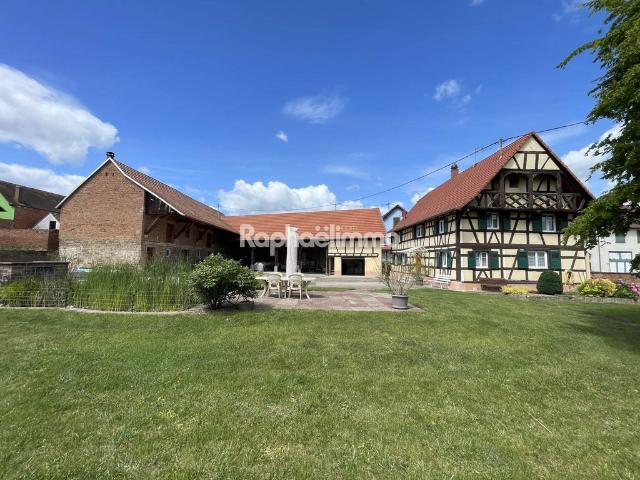 Maison de luxe en vente à Saessolsheim, Grand Est
