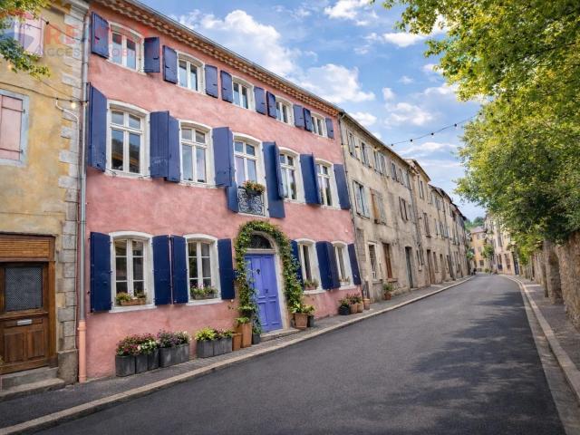 MAISON DE MAITRE DE TYPE 7 AVEC COUR ET TERRASSE