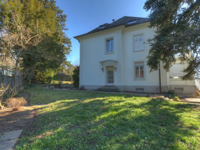 Rebberg: Maison de Maître env 280 m2 sur près de 10 ares