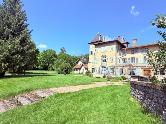 Maison de maître Rambervillers 14 pièce s 436 m2