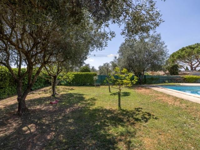 Maison de plain pied avec sous sol total, piscine et terrain à Saint Cézaire sur Siagne