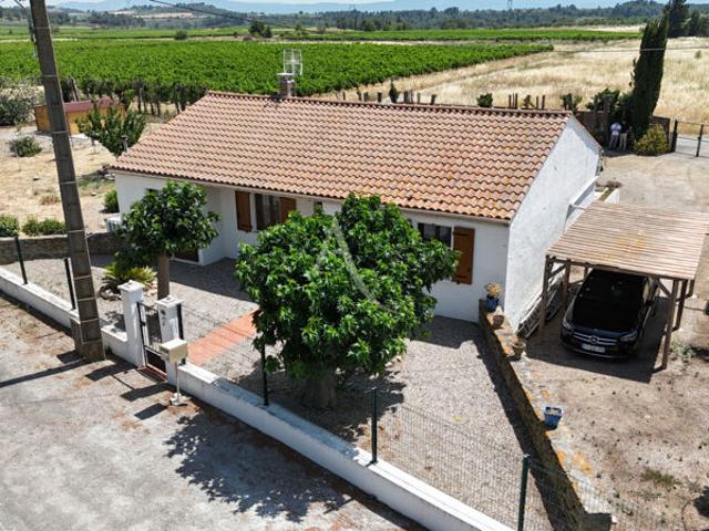 Maison de plain pied sans travaux avec grand terrain au coeur des vignes
