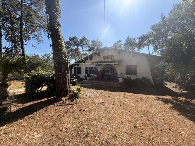 Maison de luxe de 4 chambres en vente à Biscarrosse, Nouvelle Aquitaine