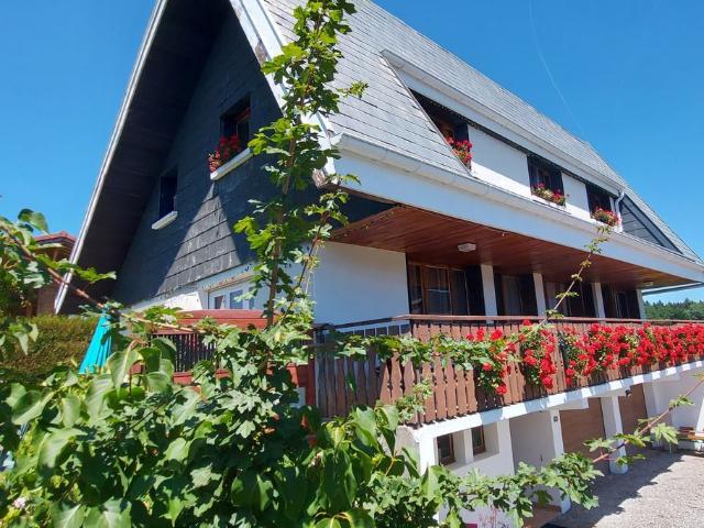 Maison de 5 chambres de luxe en vente à Vinzier, Auvergne Rhône Alpes