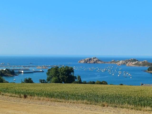 Maison de prestige de 187 m2 en vente Plougasnou, Bretagne